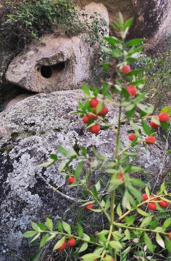 Su Skusorgiu Apartman Tortolì